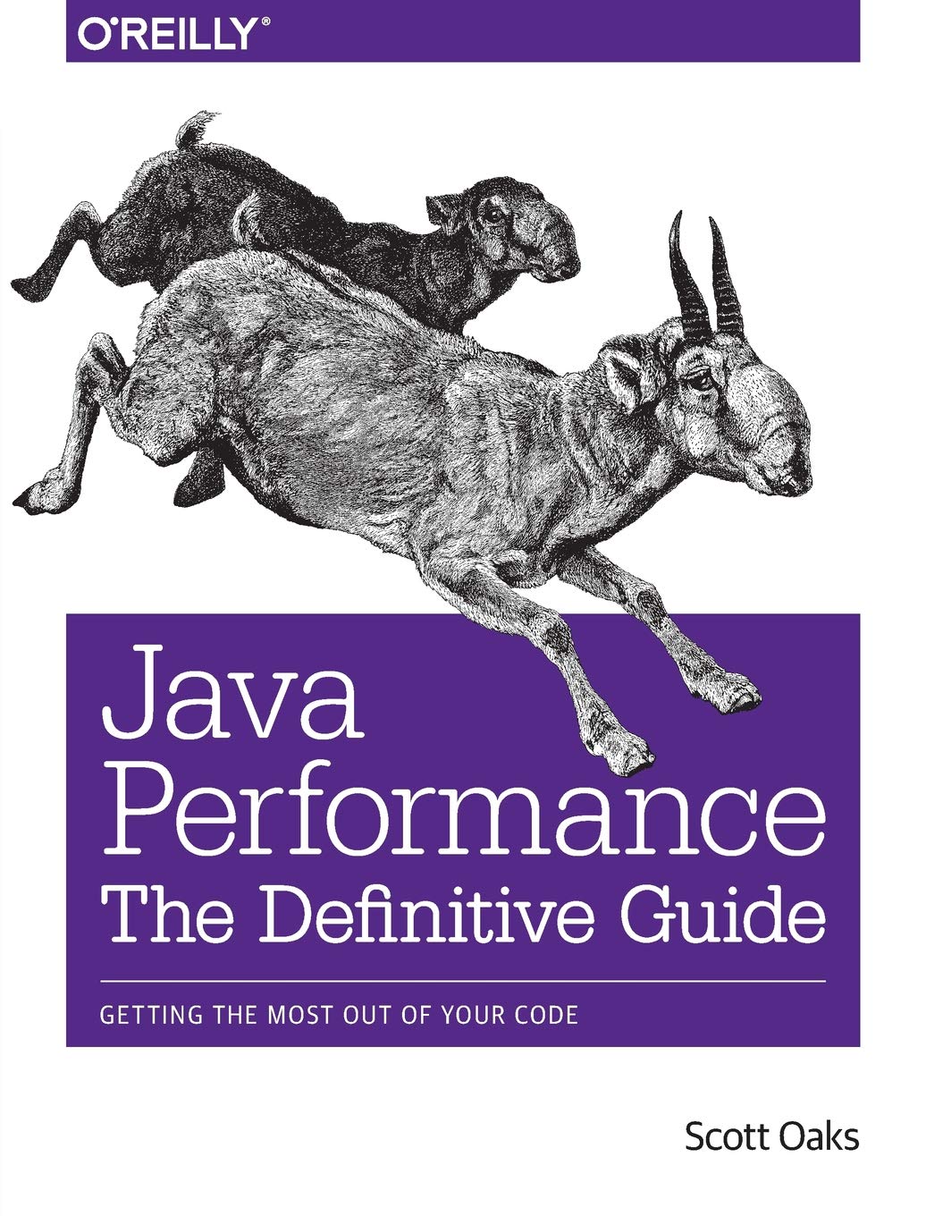 he Definitive Guide to Java Performance